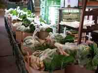 Click to see big picture (667x500 pixels; 106 KB)