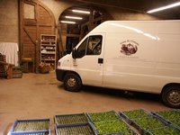 Click to see big picture (667x500 pixels; 92 KB)