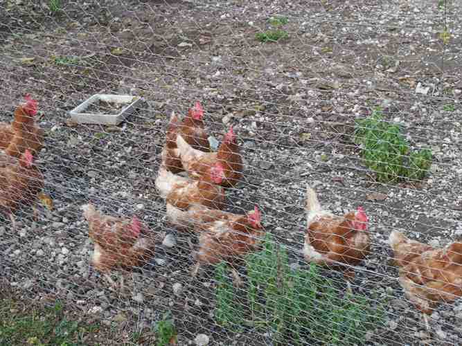 Click to see next picture