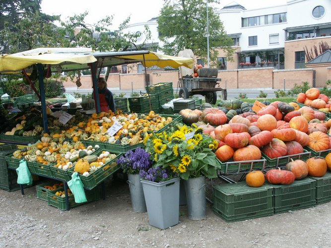 Click to see next picture