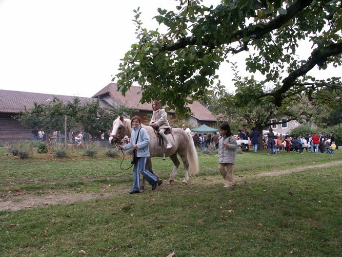 Click to see next picture