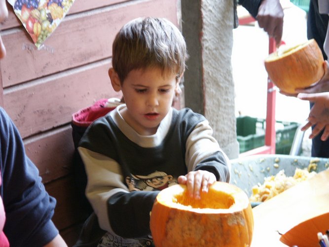 Click to see next picture