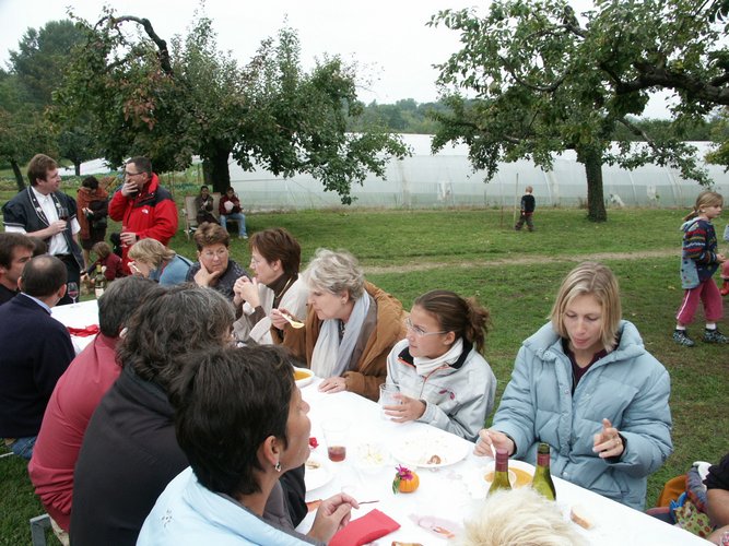 Click to see next picture