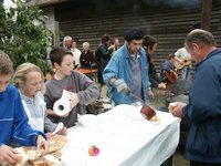 Click to see big picture (667x500 pixels; 98 KB)