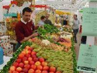 1795.jpg (182158 bytes)