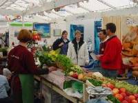 1818.jpg (89295 bytes)