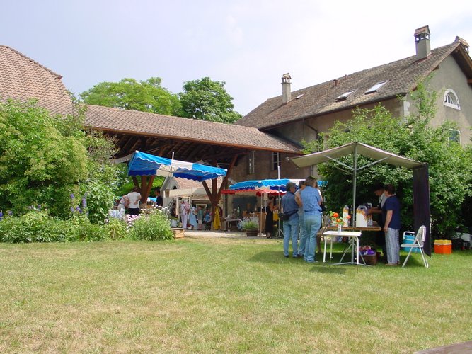 Click to see next picture