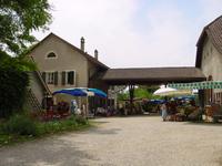 Click to see big picture (667x500 pixels; 90 KB)