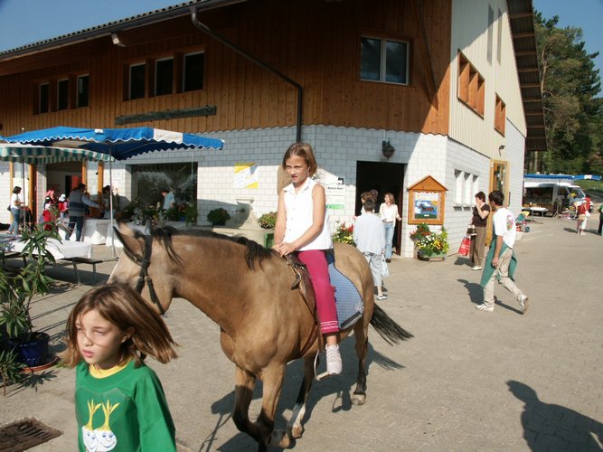 Click to see next picture