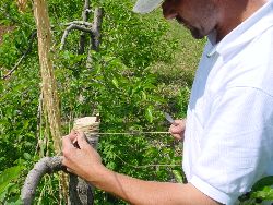 1965.jpg (597188 bytes)