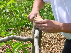 1970.jpg (608287 bytes)