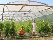 agr1058.jpg (109548 bytes)