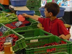 1216.jpg (46576 bytes)