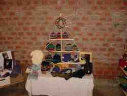 Click to see big picture (667x500 pixels; 26 KB)