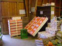 Click to see big picture (667x500 pixels; 35 KB)