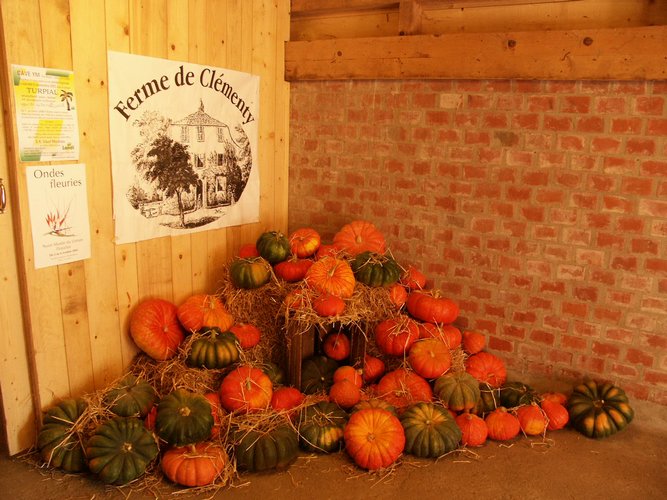 Click to see next picture