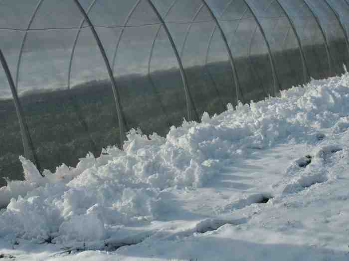 Clic ici pour voir l'image suivante