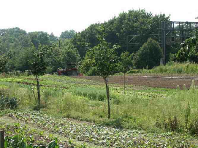 Click to see next picture