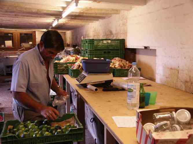 Click to see next picture