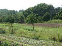 Click to see big picture (667x500 pixels; 130 KB)