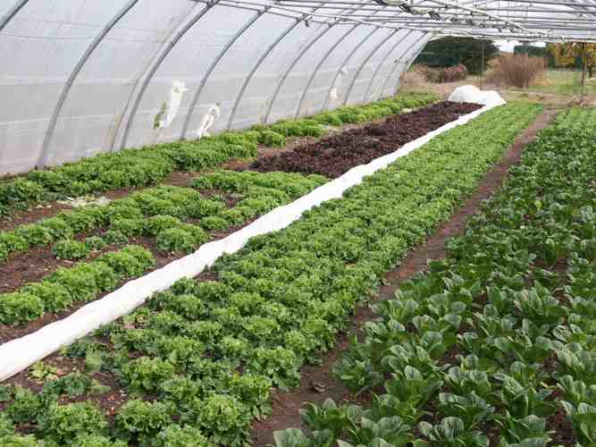 Click to see next picture