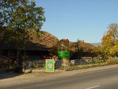 dsc01402.jpg (84565 bytes)