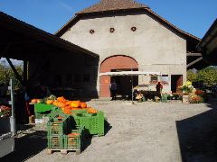 dsc01404.jpg (74765 bytes)