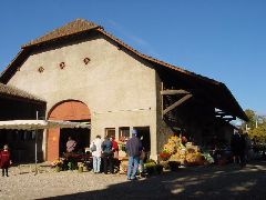 dsc01407.jpg (69129 bytes)