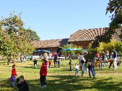 dsc01409.jpg (115669 bytes)