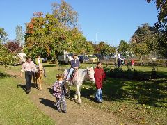 dsc01410.jpg (116174 bytes)