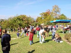 dsc01440.jpg (114081 bytes)