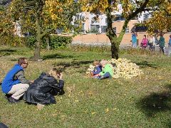 dsc01446.jpg (143611 bytes)