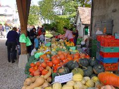 dsc01462.jpg (107377 bytes)