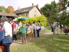 dsc01471.jpg (119295 bytes)