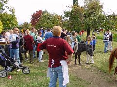 dsc01483.jpg (116901 bytes)