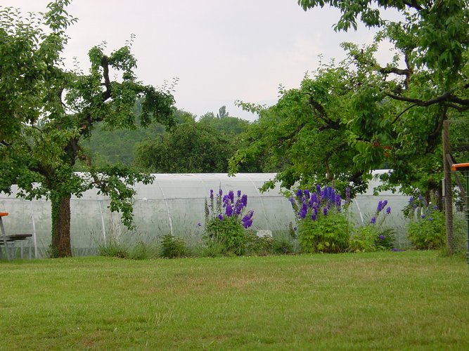 Click to see next picture