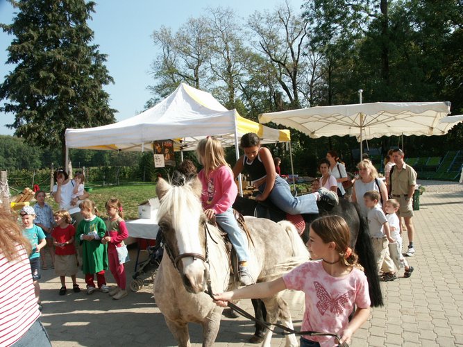 Click to see next picture