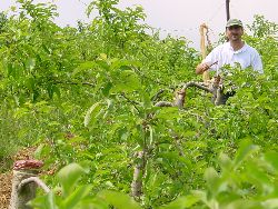 1981.jpg (604966 bytes)