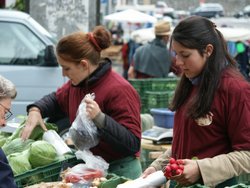 Click to see big picture (667x500 pixels; 82 KB)