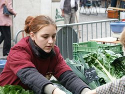 Click to see big picture (667x500 pixels; 93 KB)