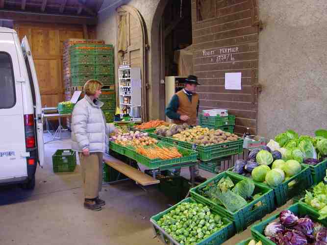 Click to see next picture