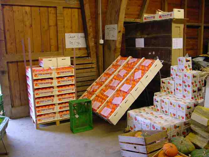 Click to see next picture