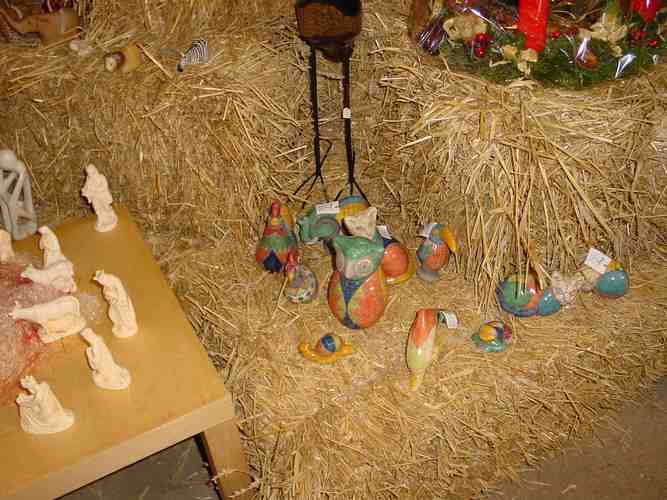 Click to see next picture