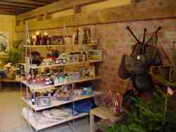 Click to see big picture (667x500 pixels; 31 KB)