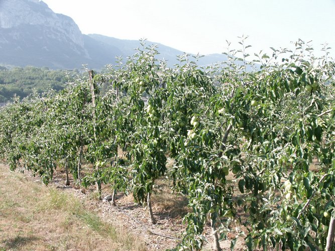 Click to see next picture