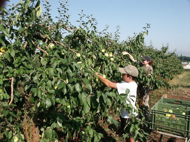 Click to see next picture