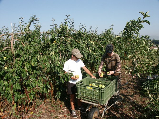 Click to see next picture