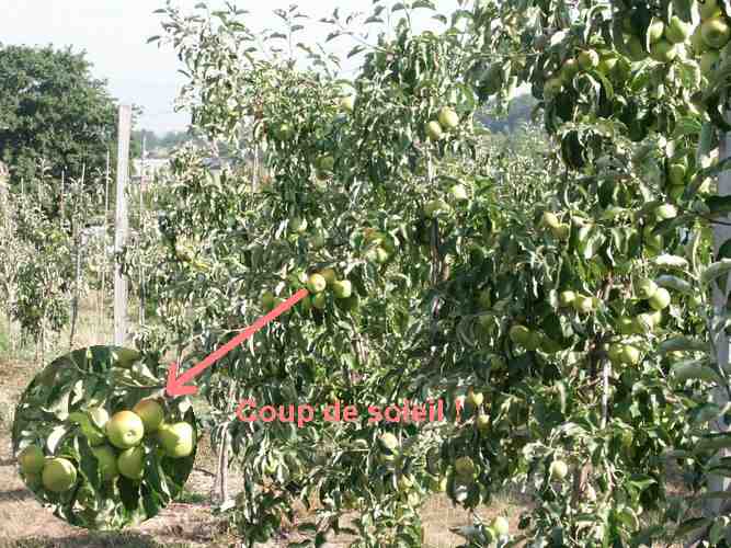 Click to see next picture