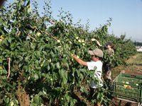 Click to see big picture (667x500 pixels; 146 KB)