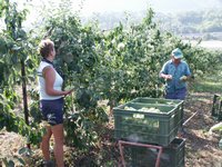 Click to see big picture (667x500 pixels; 149 KB)